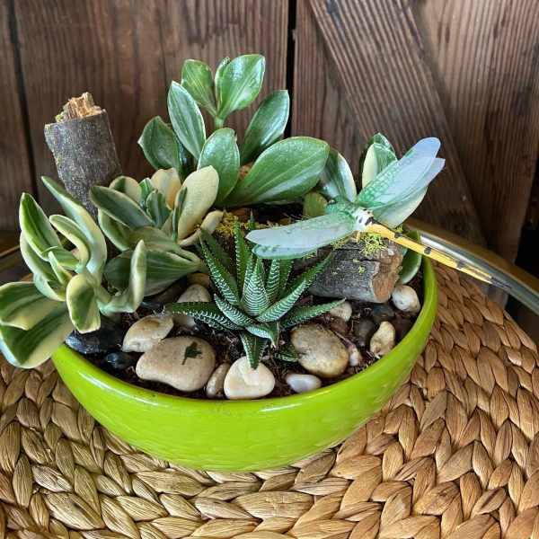Succulent garden in a bright green bowl with stones and a decorative dragonfly pick