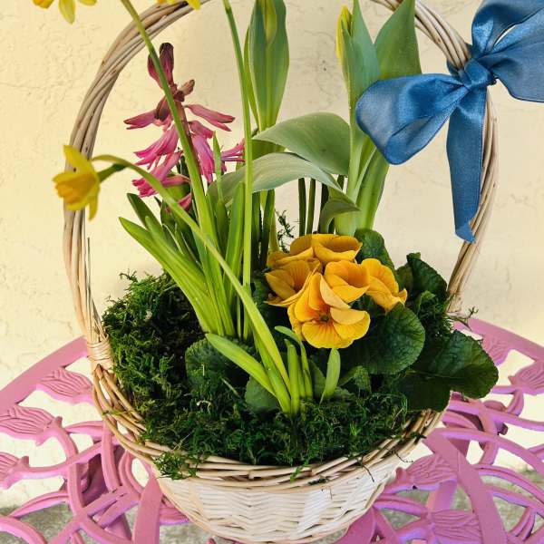 Wicker basket of yellow daffodils, pink hyacinth, and other spring flowers with a blue bow on the handle.