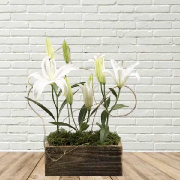 White lilies arranged in a rectangular wooden box