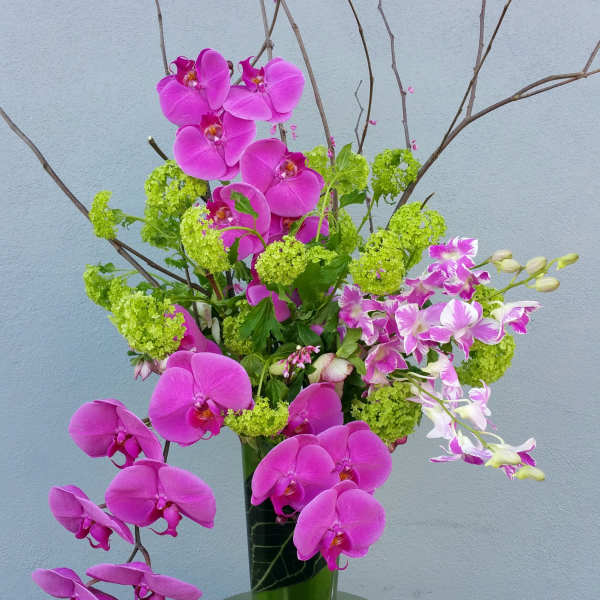 Pink orchids and green blooms in a tall glass vase