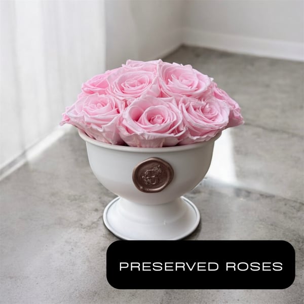 Pink roses arranged in a white pedestal vase