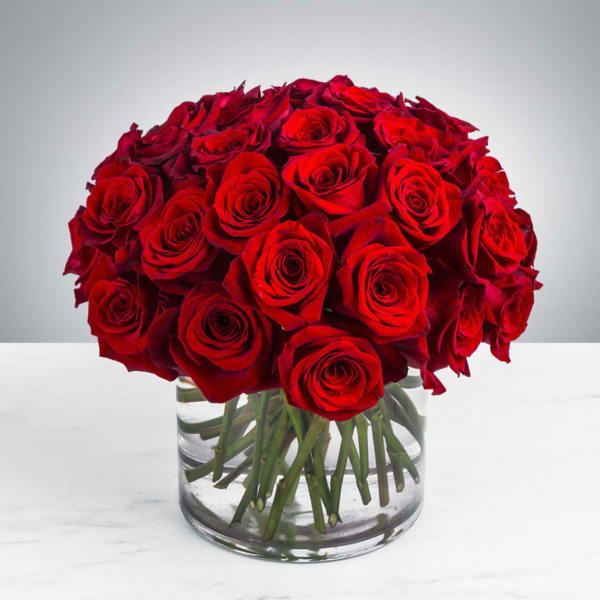 Three Dozen Red Roses