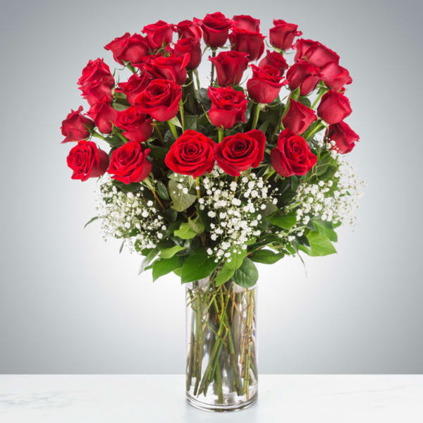 Grandeur Long Stem Rose Arrangement (3 Dozen)