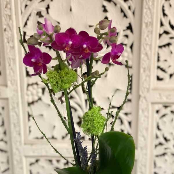 Purple orchid arrangement in a white textured pot