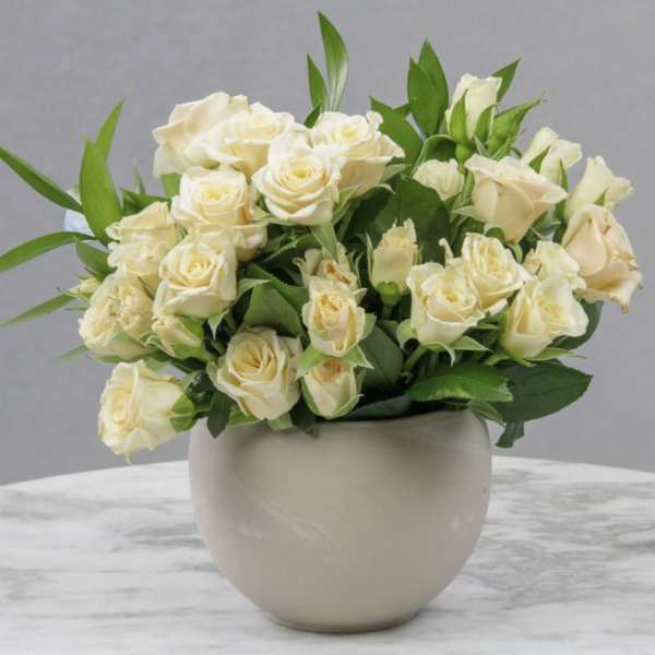 Cream rose bouquet in a round white vase