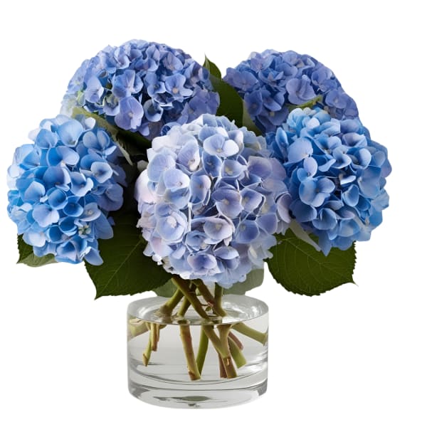 Blue hydrangea bouquet in a clear glass vase