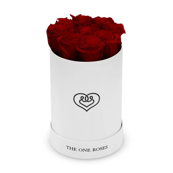Red roses arranged in a white cylindrical box