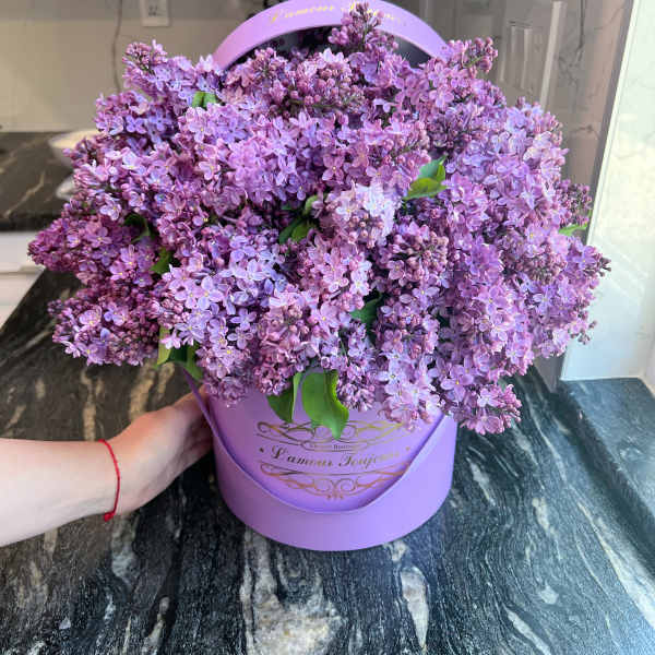 Lilacs