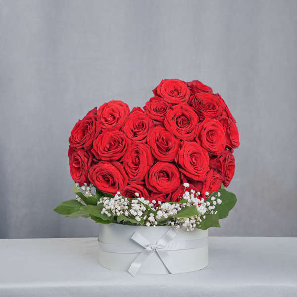 Red rose arrangement in a white round box with baby's breath