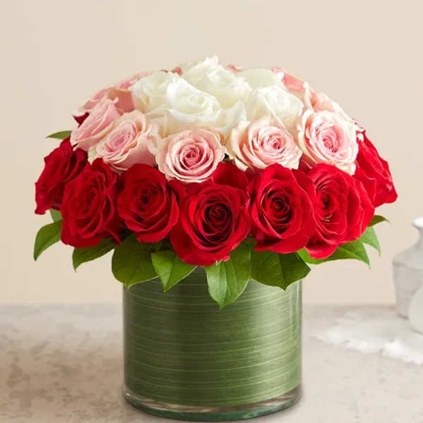 Red, pink, and white roses arranged in a green glass vase