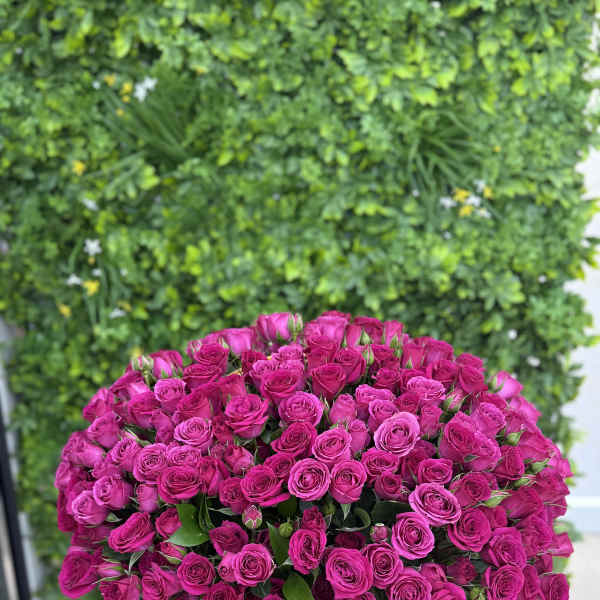 Large basket of hot pink roses on a wooden table in front of a green wall