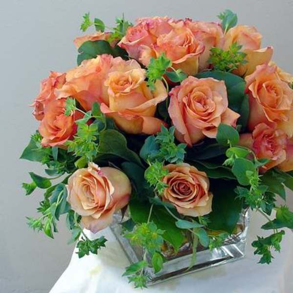 Peach Roses