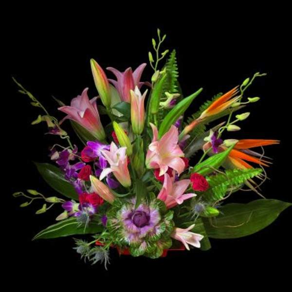 Tropical Remembrance