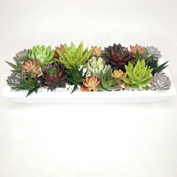 Rectangular planter filled with assorted succulents in green, purple, and peach tones