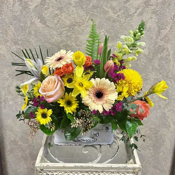Mixed bouquet with gerbera daisies, roses, tulips, and snapdragons in a white container
