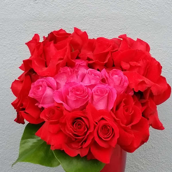 Red and pink roses arranged in a red vase