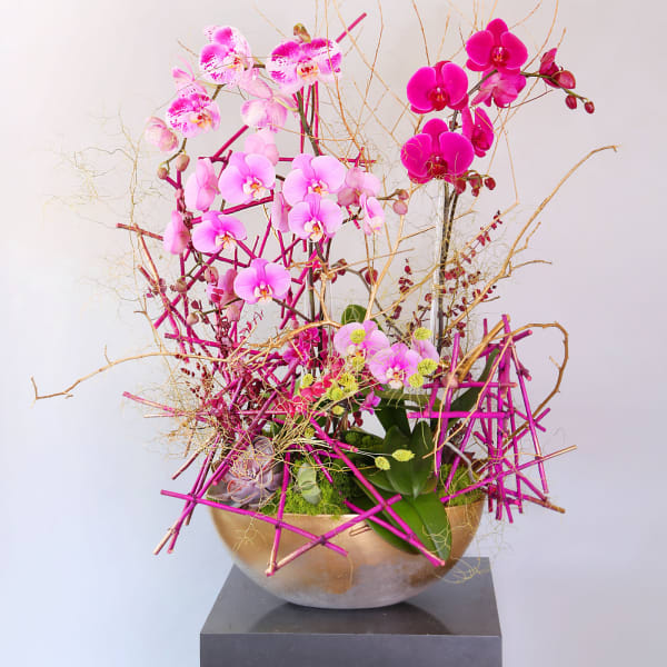 Designer Choice Orchid standard