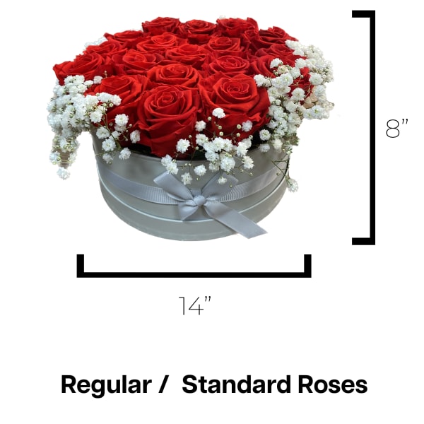 Red roses in a round box with white baby's breath and a ribbon