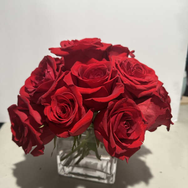 Dozen short roses
