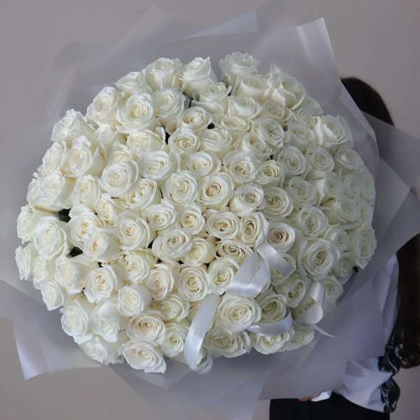 Large bouquet of white roses wrapped in translucent paper with white ribbon