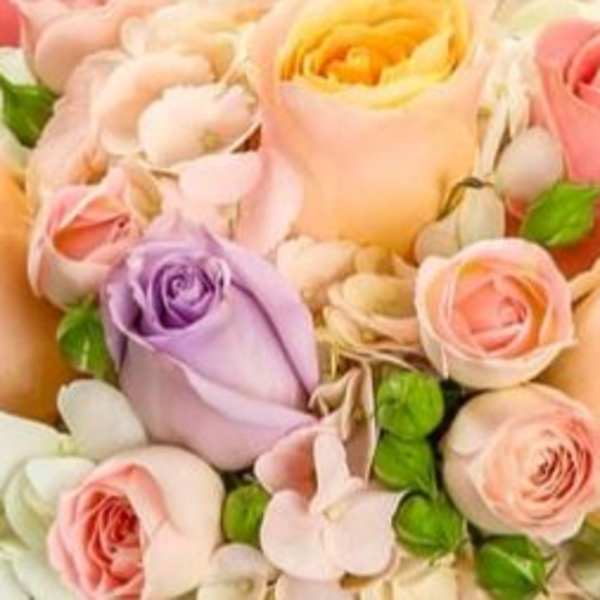 Pastel roses in pink, peach, lavender, and white