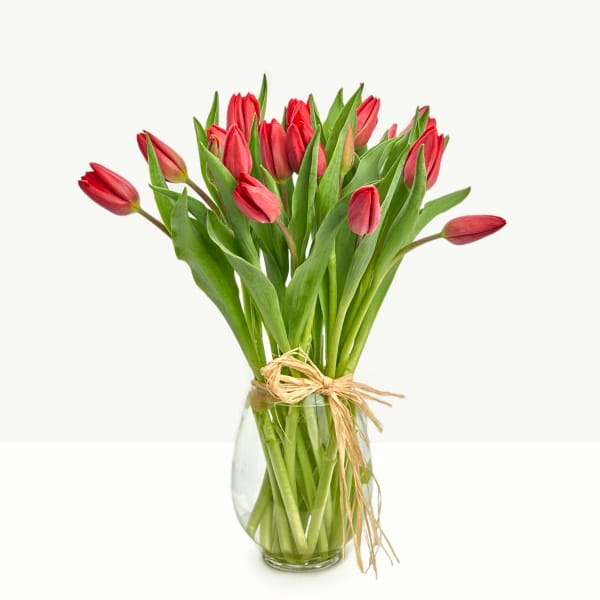 Pink tulips in a clear glass vase tied with raffia