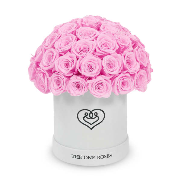 Pink roses arranged in a white round box