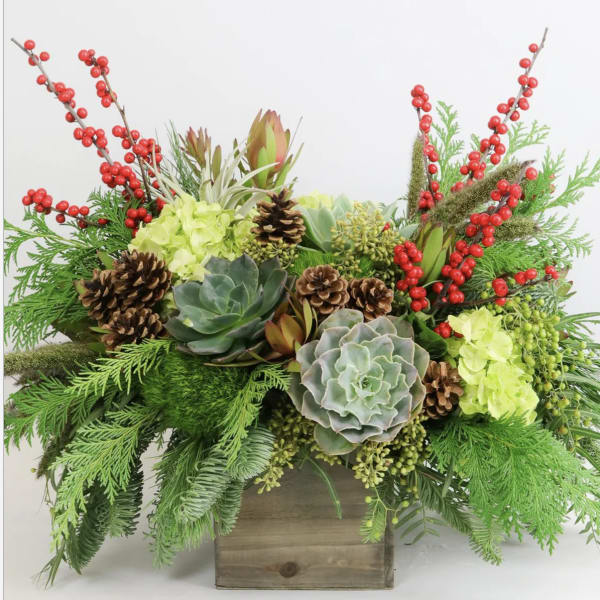 Succulent arrangement with pinecones and red berry branches in a wooden box