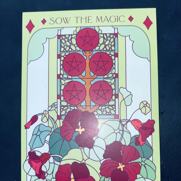 Illustrated packet labeled "Sow the Magic" with black velvet nasturtium flowers