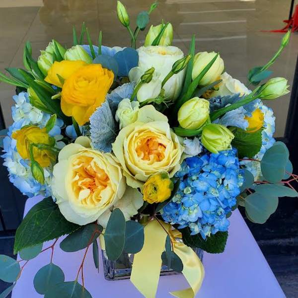 Yellow and cream roses with blue hydrangeas in a clear cube vase with trailing eucalyptus.
