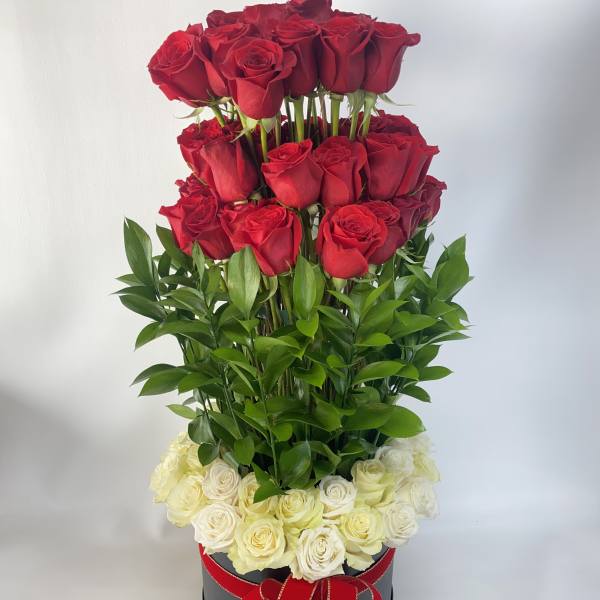 Tall arrangement of red and white roses in a black box with a red ribbon