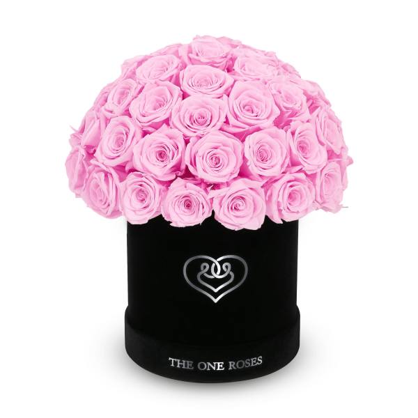 Pink roses arranged in a black round box
