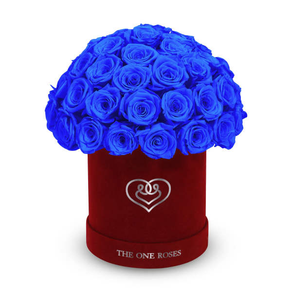 Blue roses arranged in a red velvet hat box