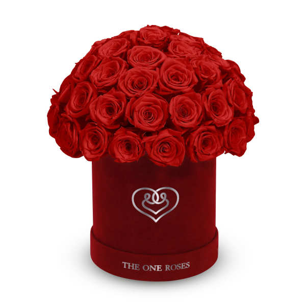 Red roses arranged in a round velvet box with a heart emblem