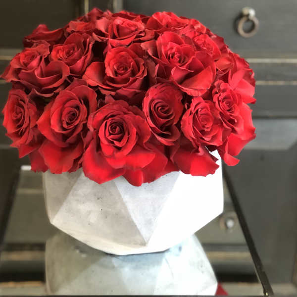 Bouquet of red roses wrapped in white paper