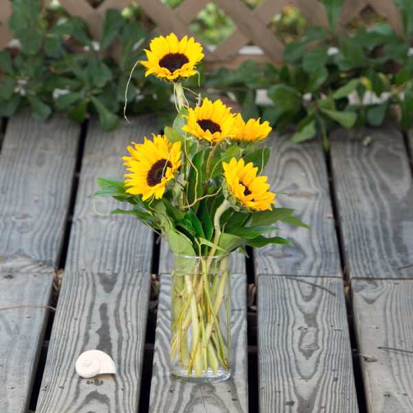 Sunflowers arranged in a clear glass vase on a wooden deck