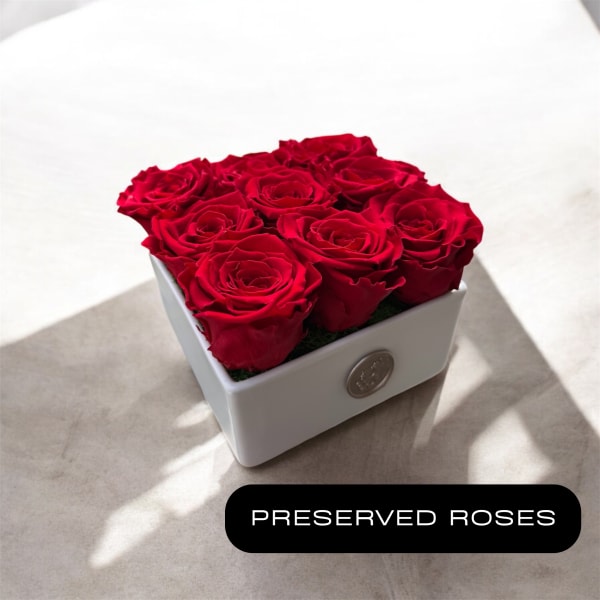 Red roses arranged in a white square box