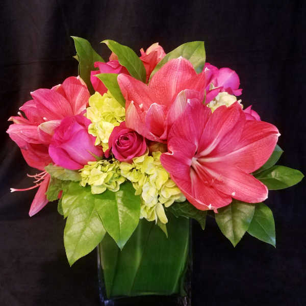 Pink and coral flowers arranged in a square glass vase