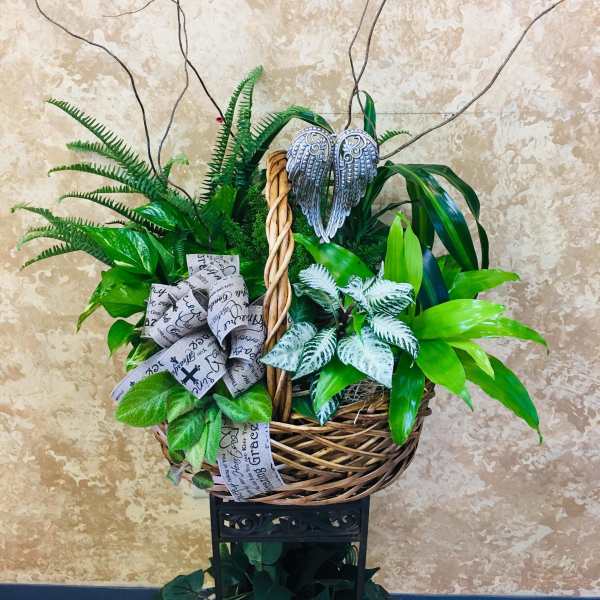 Basket arrangement of green plants with a decorative bow and angel wings