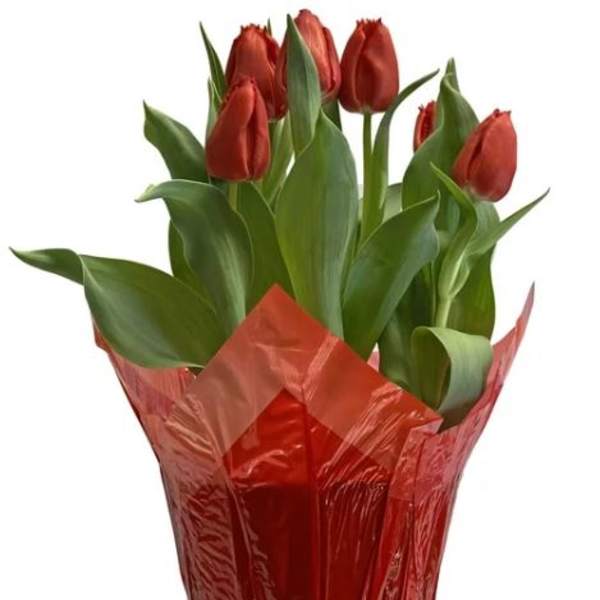 Potted red tulips in a container wrapped with shiny red foil.