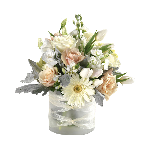 Cream and peach bouquet in a frosted vase with a sheer ribbon