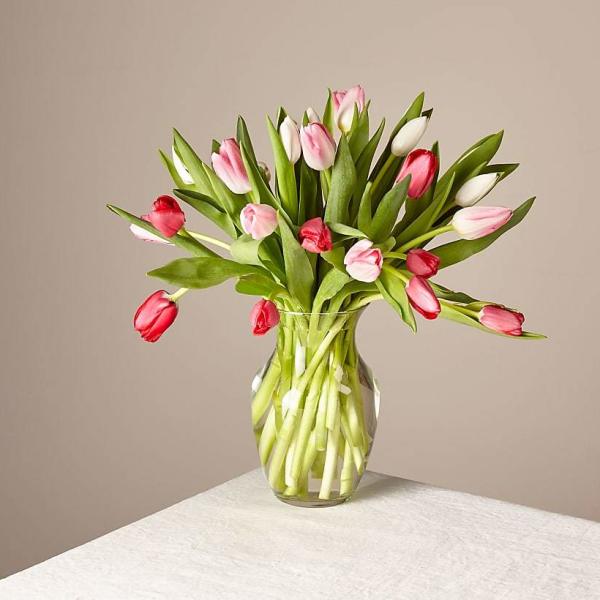 Bouquet of pink and white tulips in a clear glass vase