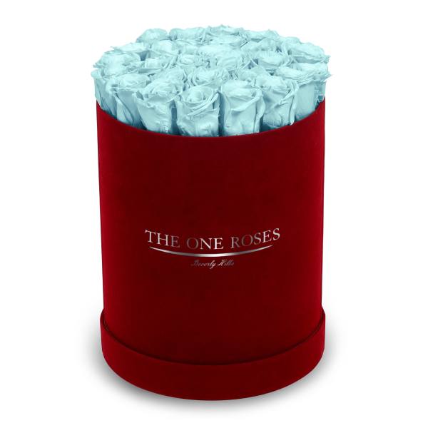 Light blue roses in a red round box