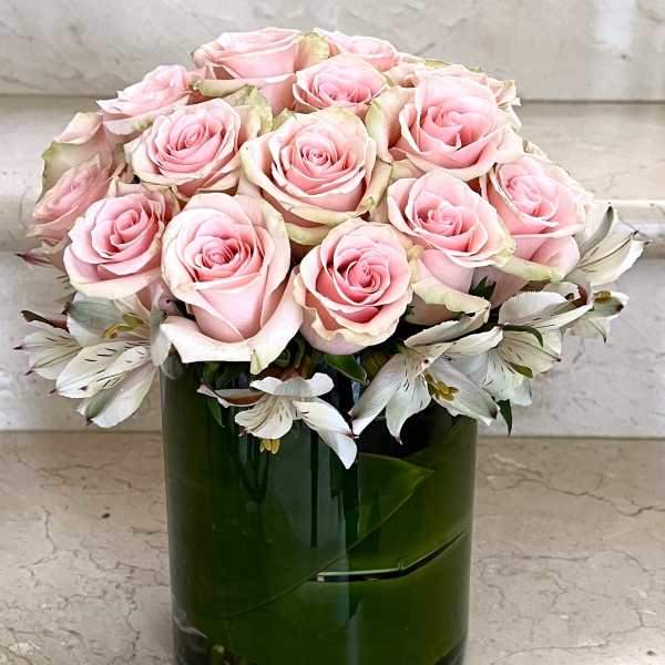 24 Roses in Pink Compact arranged in a vase