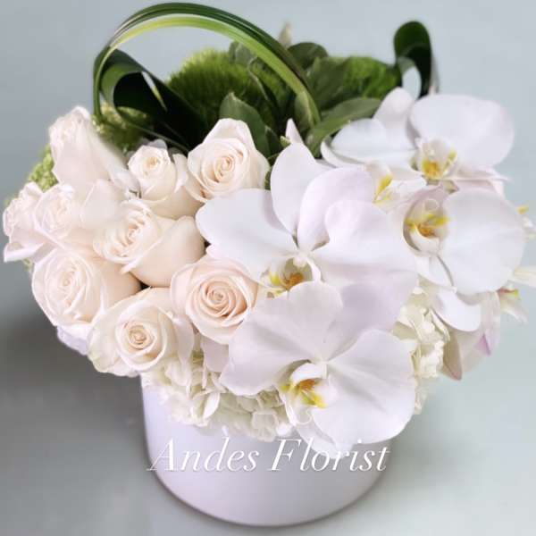 White roses and orchids arranged in a pale round box