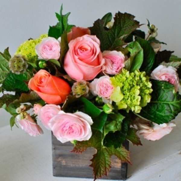 Pink and coral roses arranged in a square wooden vase