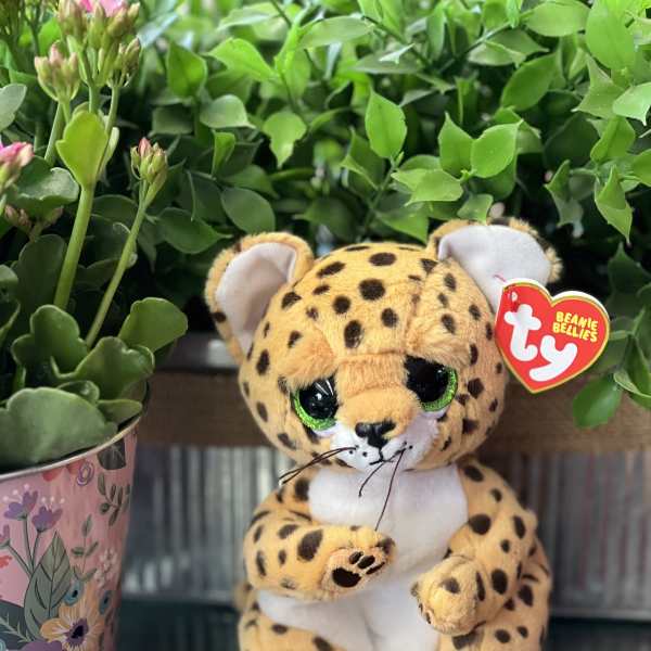 A plush leopard sits beside a potted succulent arrangement.