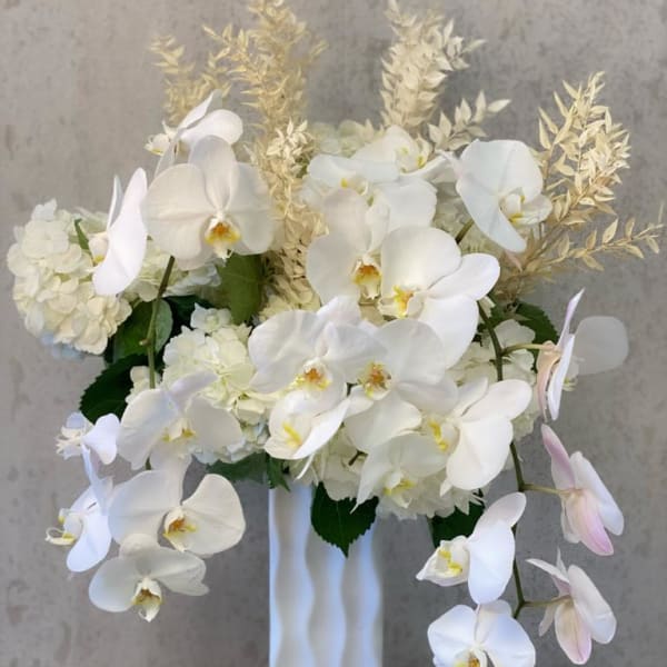 White orchid arrangement in a tall white vase with pale hydrangeas