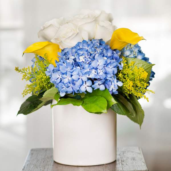 Blue hydrangeas with white roses and yellow calla lilies in a white vase