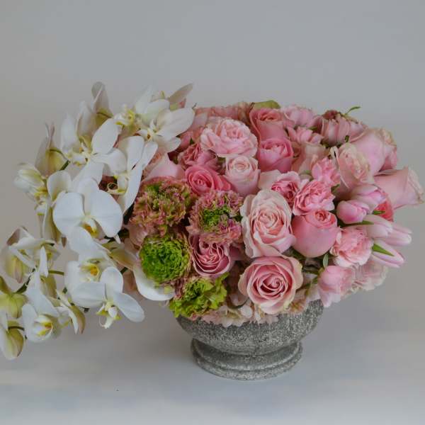 The Pink And White Beauty